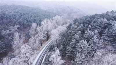 迷路的老奶奶